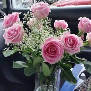 Meet your Posher, Danilda